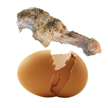 chickenbone_eggshell