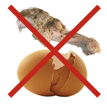 chickenbone_eggshell_x